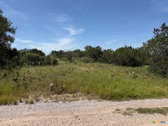 Lake Lot 0 Front Street, Burnet TX