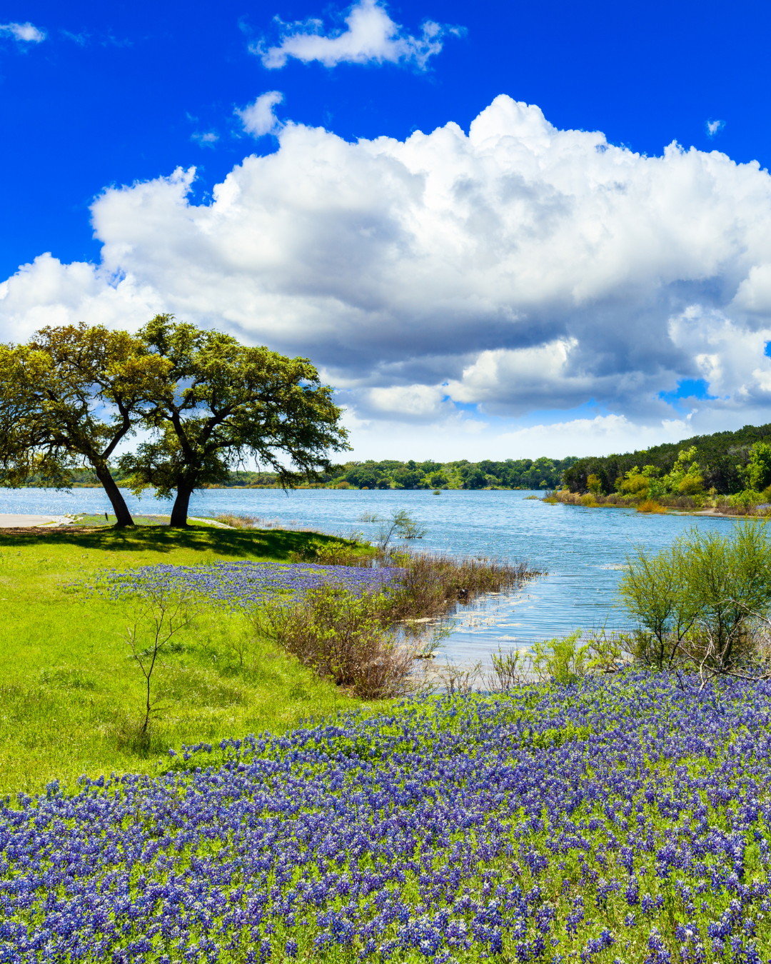 Waterfront Property For Sale in Burnet County